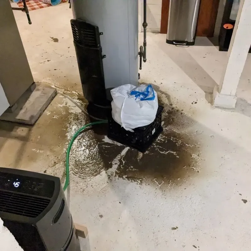 Sewage Backup Cleanup Service in Dollar Point, CA